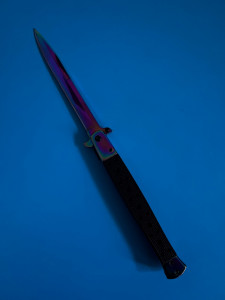 BRICEAG CAMELEON ,33 CM - Img 1