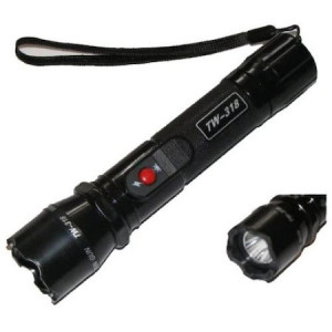 Electrosoc model TW-318 cu acumulator si incarcator auto-SIGURANTA SI LUMINA IN MANA TA