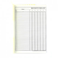 DOCUMENT CUMULATIV A4 VERTICAL