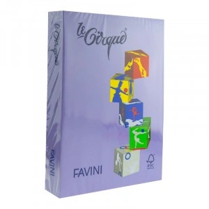 CARTON COLOR 160G/MP A4 220 MOV FAVINI