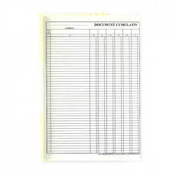 DOCUMENT CUMULATIV A4 VERTICAL