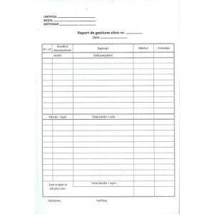 RAPORT DE GESTIUNE ZILNIC AUTOCOPIATIV