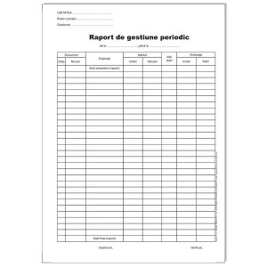 RAPORT DE GESTIUNE PERIODIC