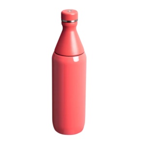 Cumpara Sticla termoizolanta Stanley The All Day Slim Bottle 0.6L, Hot Coral Gloss 10-12069-120 2