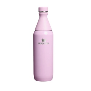 Sticla termoizolanta Stanley The All Day Slim Bottle 0.6L, Cherry Blossom Gloss 10-12069-125