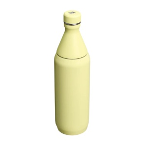 Cumpara Sticla termoizolanta Stanley The All Day Slim Bottle 0.6L, Pomelo Gloss 10-12069-119 2