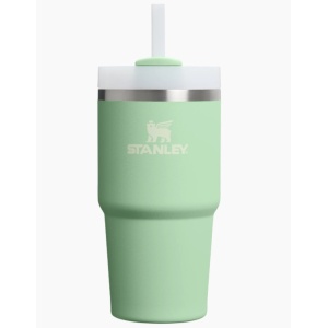 Cumpara Cana termoizolanta Stanley The Quencher H2.O FlowState Tumbler 0.60L, Pistachio 2.0 10-10826-363