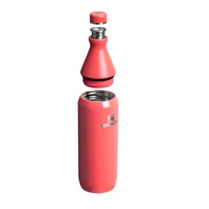 Cumpara Sticla termoizolanta Stanley The All Day Slim Bottle 0.6L, Hot Coral Gloss 10-12069-120 3