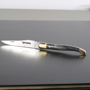 Briceag Laguiole en Aubrac, maner Corn Taur, lama 12cm - LGL0212CPL/SSI1 - Img 2