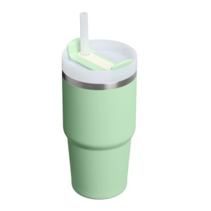 Cumpara Cana termoizolanta Stanley The Quencher H2.O FlowState Tumbler 0.60L, Pistachio 2.0 10-10826-363 2