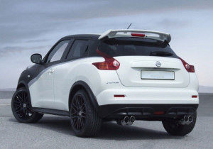 Eleron Luneta compatibil cu NISSAN JUKE F15 2010-> - Img 8