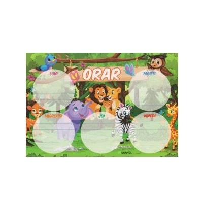 Orar scolar format A5