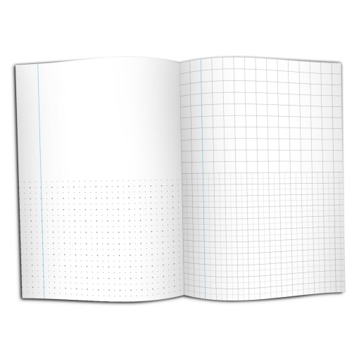 Caiet Special de Matematica 2, CSM-2, NumLit