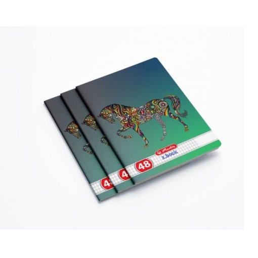 Caiet matematica, A5, 48 file, HERLITZ