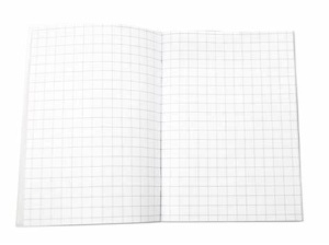 Caiet de matematica incepatori, A5, 24 file, ECADA - Img 2