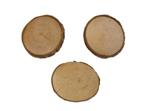Set 3 rondele din lemn, cu scoarta, 5,5 – 6 cm - Img 1