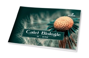 Caiet A4 de biologie, 24 file, ECADA