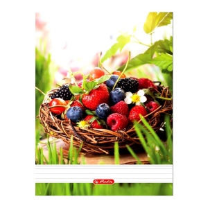 Caiet dictando, A5, 70 file, cu spira, HERLITZ - Img 1