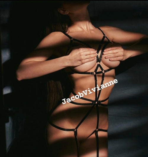 Ham body elastic