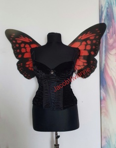 Aripi fluture - Img 1