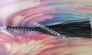 Bici piele naturala lacuita / Flogger