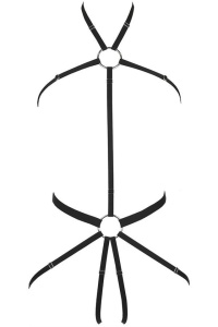 Ham body elastic - Img 2