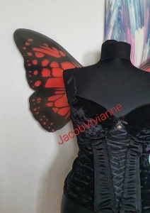 Aripi fluture - Img 2