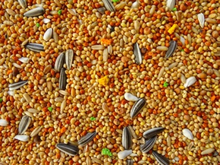 OLA hrana za NIMFE i SREDNJE PAPAGAJE 1kg - Complete food for Parakeets - Img 2