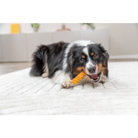 TRIXIE 315436 SNACK ZA PSE PILETINA 12CM 30G 1kom - Img 3