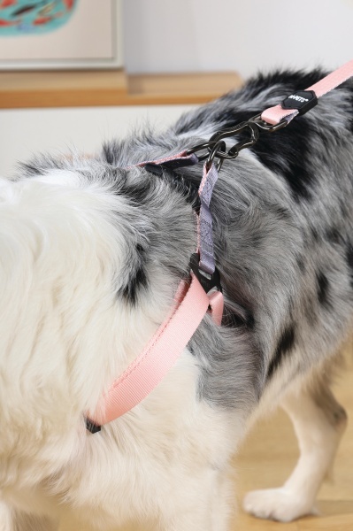 M-PETS 10847699 AM/oprtac/grudnjak za pse obim 46-70 cm GENTLE DOG Triangle Harness M Pink - Img 3