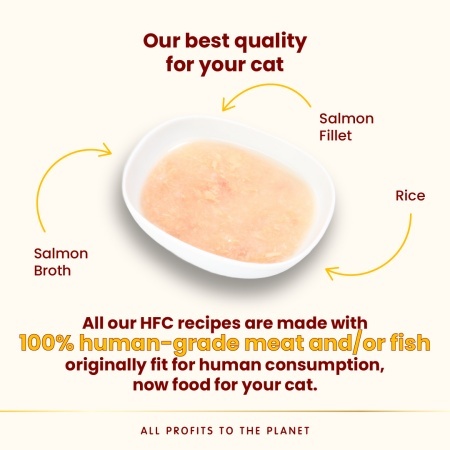 HFC CAT Kesica 50g - Losos čorba sa fileom od lososa MONO-PROTEIN – ALMO NATURE - Img 4