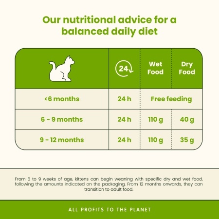 DAILY CAT konzerva 85g - Mus - KITTEN Piletina za mačiće GRAIN FREE – ALMO NATURE - Img 3