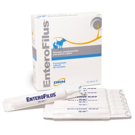 EnteroFilus - Probiotik ampula za pse i mačke 10ml *1kom