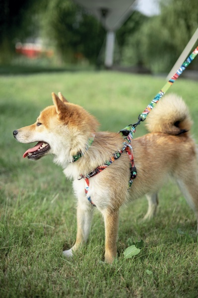 M-PETS 10835299 AM/oprtac/grudnjak za pse obim grudi 66 - 95 cm - URBAN STYLE Freestyle Harness L - Img 3