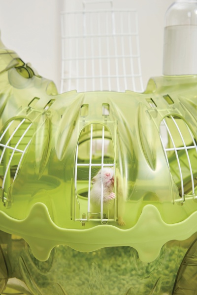 M-PETS Igracka za glodare HAMISAURUS Hamster toy 93,3*40,1*89,9cm 40405099 - Img 8