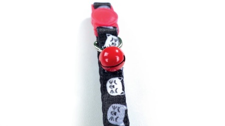 M-PETS 20800799 Ogrlica Za Macke ZANY Cat ECO collar 20 - 30 cm - Img 2