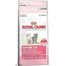 Royal Canin Kitten 2 kg