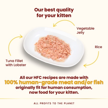 HFC CAT Kesica 55g - Tuna file i Jastog u želeu GLUTEN FREE (59% mesa) – ALMO NATURE - Img 2