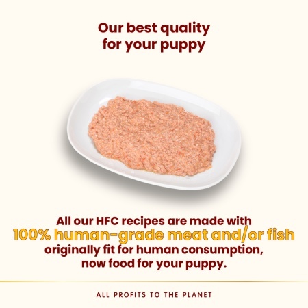 HFC DOG Konzerva 280g - PUPPY Piletina (za štenad) GLUTEN FREE – ALMO NATURE - Img 2