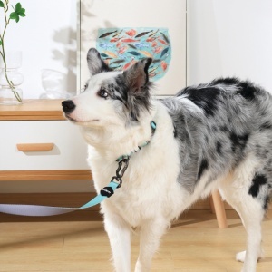 M-PETS 10849199 Povodac za pse GENTLE DOG Leash S Green 2.5 X 120cm - Img 3