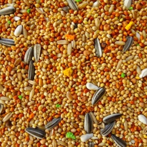 OLA hrana za NIMFE i SREDNJE PAPAGAJE 1kg - Complete food for Parakeets - Img 2