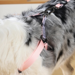 M-PETS 10847699 AM/oprtac/grudnjak za pse obim 46-70 cm GENTLE DOG Triangle Harness M Pink - Img 3