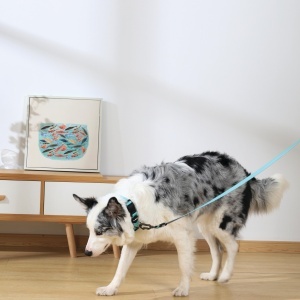 M-PETS 10849399 Povodac za pse GENTLE DOG Leash L Green 2.5 X 120cm