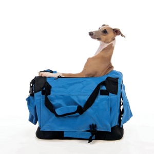 M-PETS 10702217 Transporter FLOW Crate 61*41*41cm M - Img 2