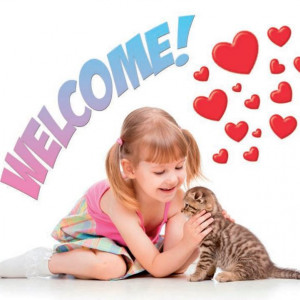 80500 SET ZA MACICE (toalet, lopatica, igracka, posuda) WELCOME kit GeorPlast - Img 2