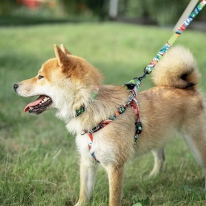 M-PETS 10835299 AM/oprtac/grudnjak za pse obim grudi 66 - 95 cm - URBAN STYLE Freestyle Harness L - Img 3