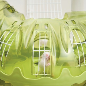 M-PETS Igracka za glodare HAMISAURUS Hamster toy 93,3*40,1*89,9cm 40405099 - Img 8