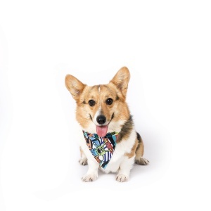 M-PETS 10839599 Ogrlica Marama za pse obim vrata 15 - 25 cm - URBAN STYLE Bandana Collar XS