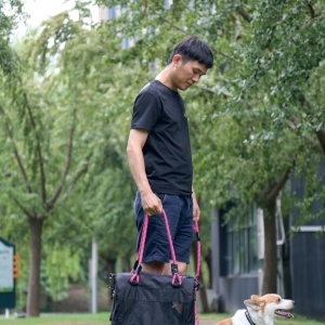 M-PETS 10703899 Torba za pse i macke 41 x 28 x 28 cm REMIX Travel Carrier 2 in 1 with Leash/Shoulder Belt - Black & Pink - Img 3