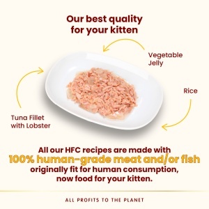 HFC CAT Kesica 55g - Tuna file i Jastog u želeu GLUTEN FREE (59% mesa) – ALMO NATURE - Img 2
